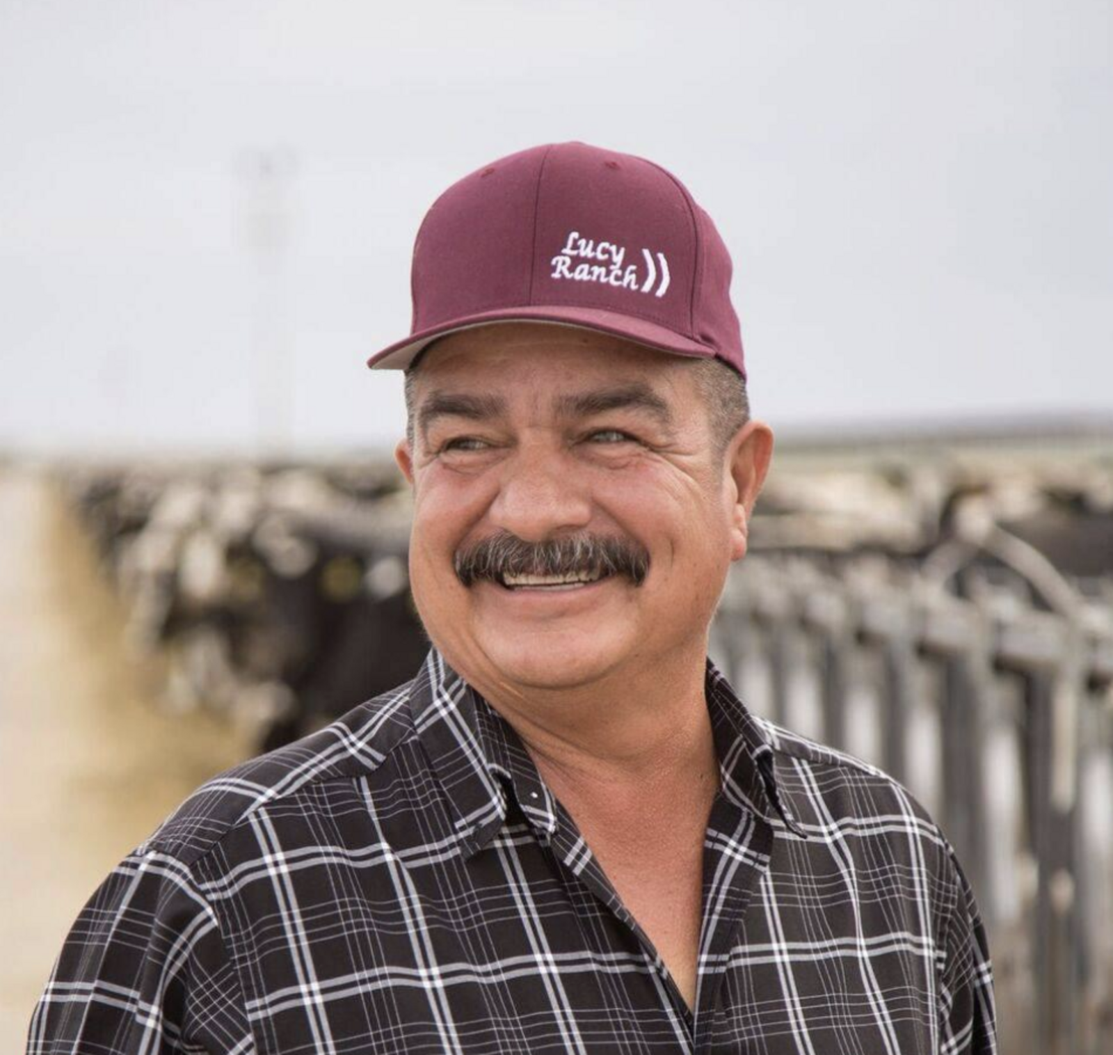 Headshot of Martin
